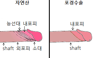 7abe887fb08168f33aead5e640837d6ea73e343ec7bb03f3cea423134ce8c86b29b312115b1d3ab7dc078fd4cb176dbfee441c3b36e57da1b9dd2b