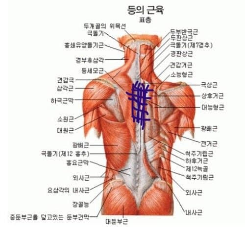 78ec8376bdf36dff23eff496429c7069ae37fbfcffdffc2ea785eba9bd67f4037cd535c54c8a68c52d638bbd96f65d323e6ade