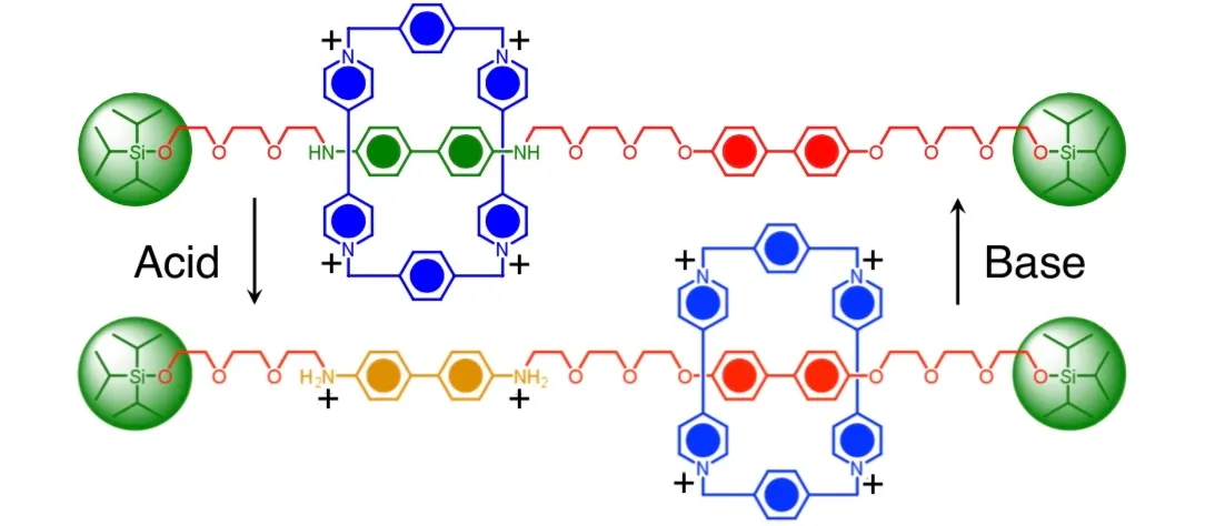 2888c82ac6c3178f469ee39721dc0e682ca71c635567e17214a8ccf6203455f5b6ed0d71c589e70744a6465aa3ac0cc1b7abd9e8627f506fe8b29b53d1a53f516d4c0c1795fa03