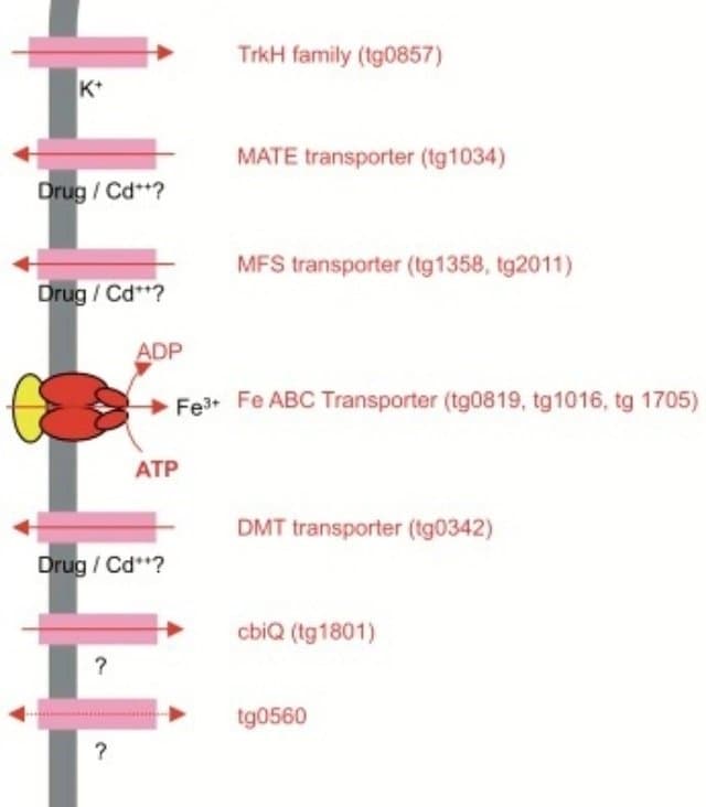 28b9d932da836ff437ee82e04785756ebeb01e4d340088a3a42f96552890b1de28